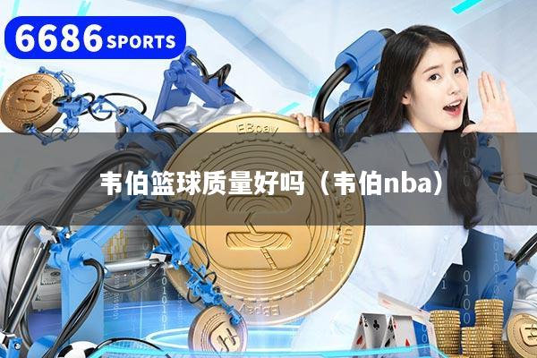 韦伯篮球质量好吗（韦伯nba）